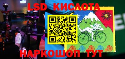 молекула духа Камышлов