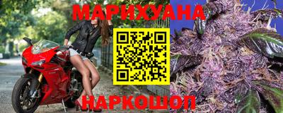 молекула духа Камышлов