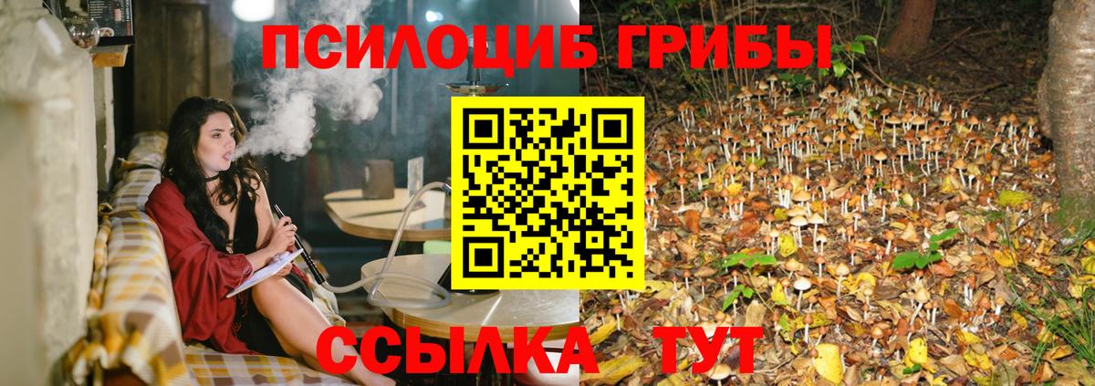 где продают   Галлюциногенные грибы ЛСД  Вход с VPN  Коркино 